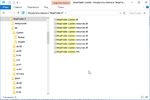 NinjaTrader.Custom в Program Files (x86) .png